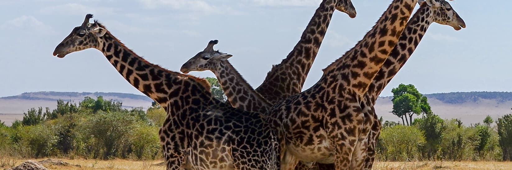 Kenya scenery