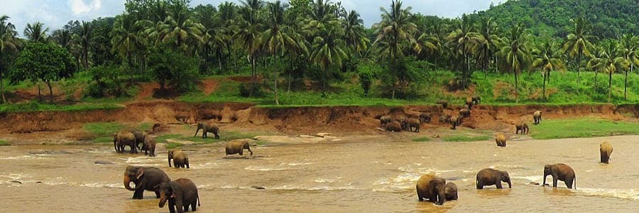 Sri Lanka scenery