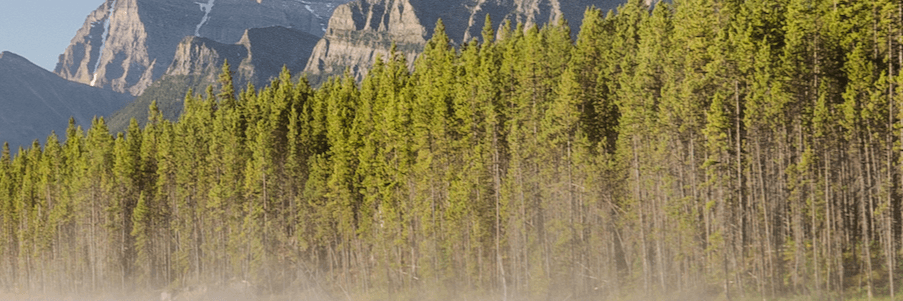 Canada scenery